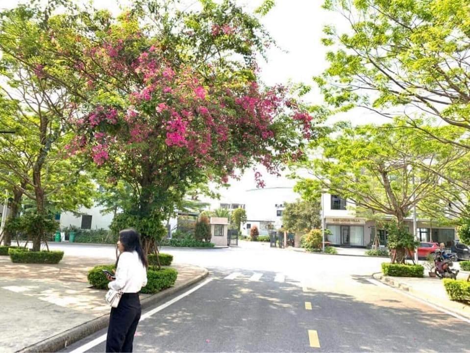 Haradise Suite Villa & Homestay Ha Long Exterior foto